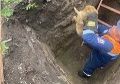 ����� ���� ����� ������� � ��� � ������� ���������