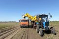 В Хакасии, силами республиканского УФСИН, собрано свыше 600 тонн картофеля