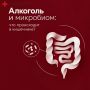 Алкоголь и кишечник: при чём здесь микробиом?