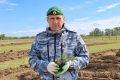 Незаконно запасся пихтами и получил штраф житель Абакана