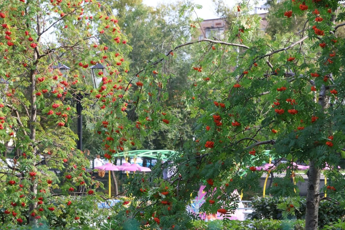 Карусели для малышей доставили в Черногорский парк Карусели для малышей доставили в Черногорский парк