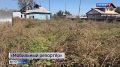 «Мобильный репортёр»: заросший участок может быть опасен