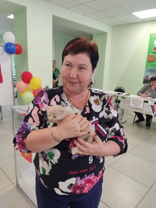 Пушистое счастье для участковой комиссии! Пушистое счастье для участковой комиссии!