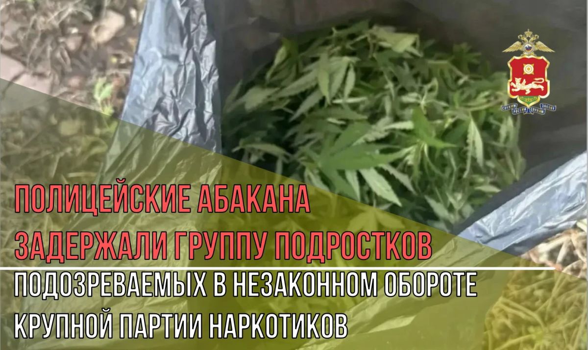 Полицейские Абакана задержали группу подростков подозреваемых в незаконном обороте крупной партии наркотиков