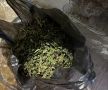 У жителя Черногорска полицейскими изъято почти полкилограмма марихуаны
