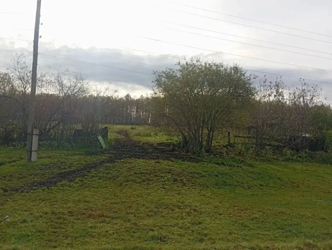 Ещё одно жертва нападения медведя в соседнем Красноярском крае