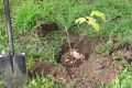����� �������� �������� ����� �������� ���������� ��� � ������