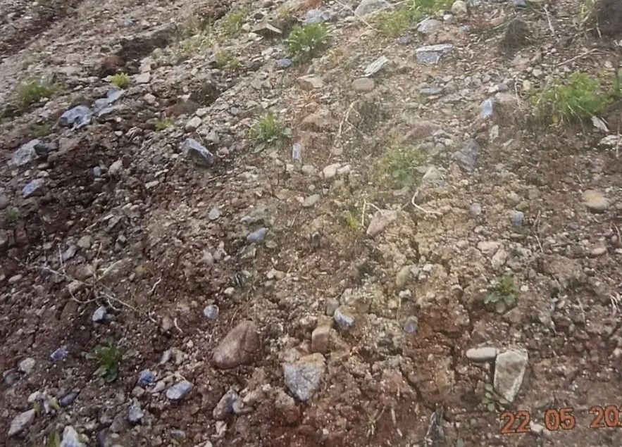 В Красноярске возбуждено уголовное дело по факту нарушения правил охраны окружающей среды и порчи земель сельхозназначения В Красноярске возбуждено уголовное дело по факту нарушения правил охраны окружающей среды и порчи земель сельхозназначения
