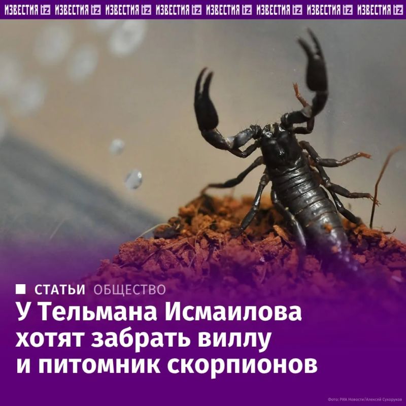 Семья беглого экс-владельца Черкизовского рынка Тельмана Исмаилова обзавелась виллой и питомником скорпионов в Черногории, выяснили "Известия"