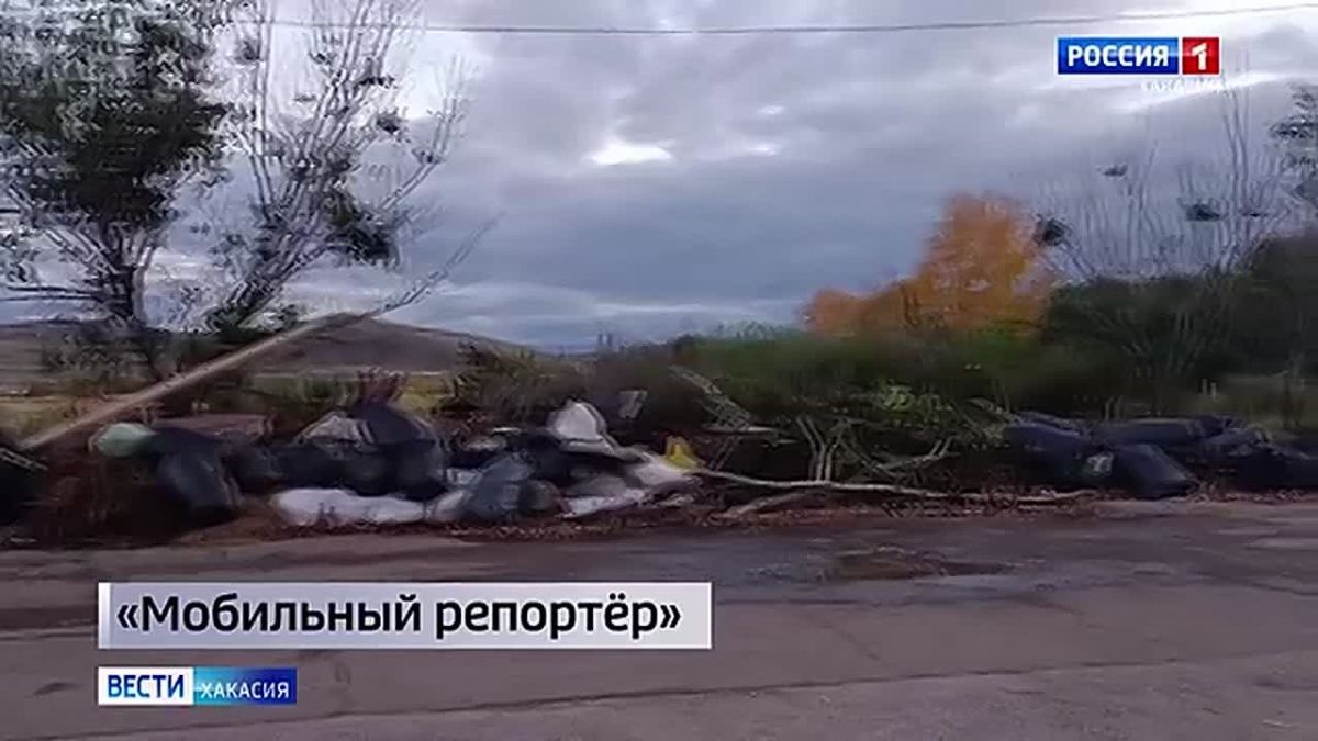 «Мобильный репортёр»: управляющая компания бездействует