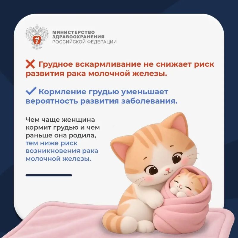 Мифы и правда о раке молочной железы Мифы и правда о раке молочной железы