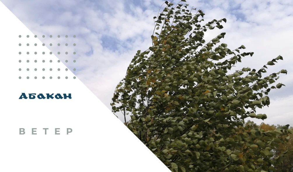 По Республике Хакасия 21 октября 2026 года местами прогнозируют порывы ветра 15-20 м/с