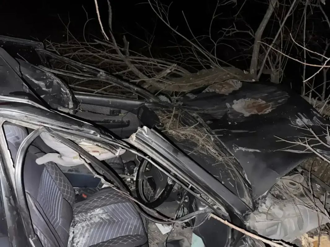 Машина въехала в лошадь в Таштыпском районе Машина въехала в лошадь в Таштыпском районе