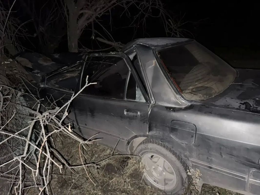 В Таштыпском районе иномарка врезалась в лошадь, а затем в дерево