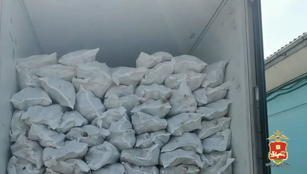 За оборот 28 тонн нелегальной рыбы стоимостью 20 млн рублей в Хакасии будут судить шушенского бизнесмена За оборот 28 тонн нелегальной рыбы стоимостью 20 млн рублей в Хакасии будут судить шушенского бизнесмена