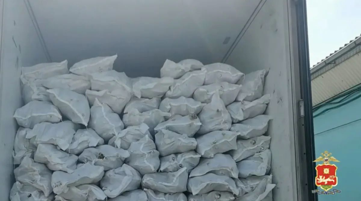 Бизнесмена в Хакасии осудят за оборот 28 тонн нелегальной рыбы на 20 млн руб Бизнесмена в Хакасии осудят за оборот 28 тонн нелегальной рыбы на 20 млн руб