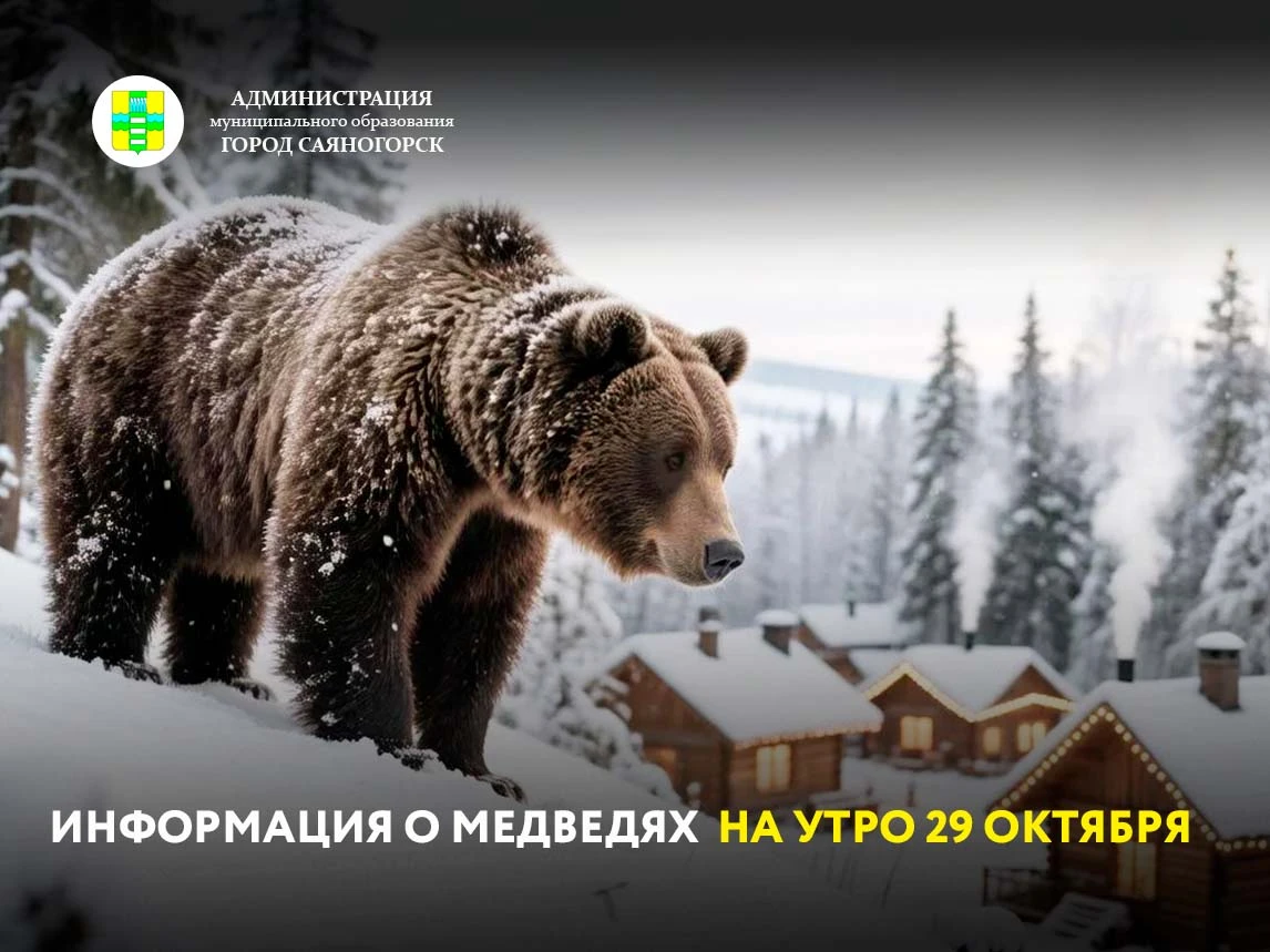 Ситуация с медведями в муниципальном образовании город Саяногорск за сутки на 29 октября, по данным на 06:00