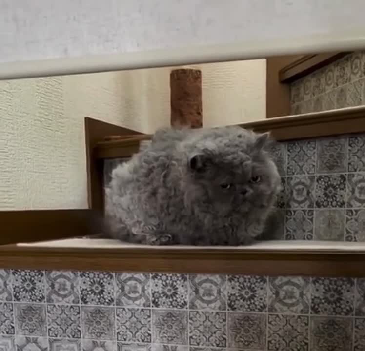 Доброе утро, Хакасия!